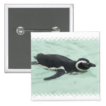Swimming Penguin Square Pin