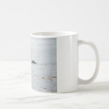 Swimming Seal Coffee Mugs