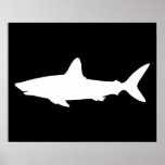 Swimming Shark Posters