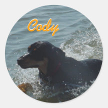 swimmingbailey, Cody, Cody Round Sticker