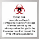 SWINE FLU H1N1 PANDEMIC POSTER posters