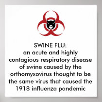 SWINE FLU H1N1 PANDEMIC POSTER