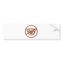 Swine Flu / Pork