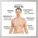 Swine Flu posters