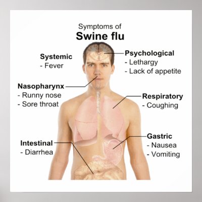 Swine Flu Posters by Hit_or_Miss