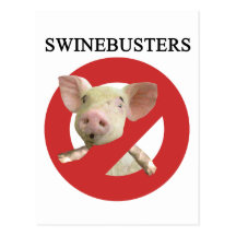Swinebusters! Post Card