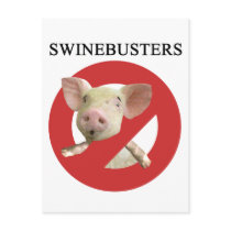 Swinebusters!