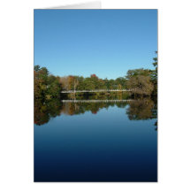 Swinging Bridge Cards