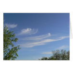 Swirls Greeting Cards