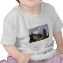 Swiss Re Building Tee Shirt
