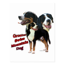 Swissie Trio 2 Post Card