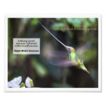 Sword-billed Hummingbird Photo Art