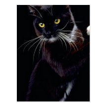 Sylvester Postcards