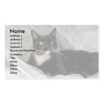 Sylvester's Boudoir Business Cards