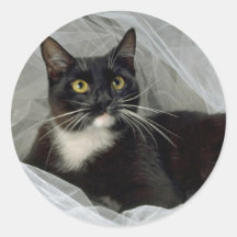 Sylvester's Boudoir Round Stickers