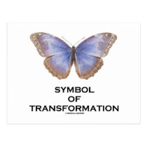 Symbol Of Transformation (Butterfly) postcards