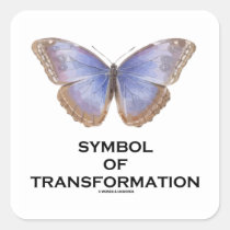 Symbol Of Transformation (Butterfly) stickers