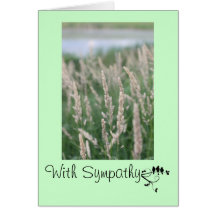 Sympathie Cartes De Vœux