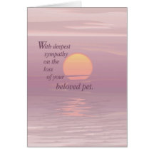 Sympathie d'animal familier du lever de soleil 262 cartes