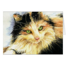 Sympathie de chat de calicot 0010 cartes de vœux