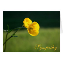Sympathy Buttercup Design | Sorry For Your Loss Cards