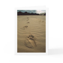 Sympathy Card