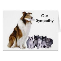 Sympathy Card