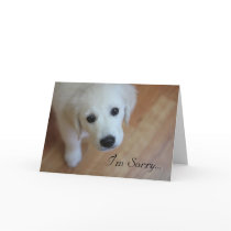 Sympathy card, I'm Sorry for...