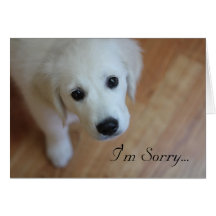 Sympathy card, I'm Sorry for...