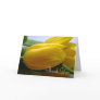 Sympathy / Funeral Thank You Card