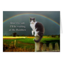 Sympathy - Loss of Pet  Cat Greeting Cards