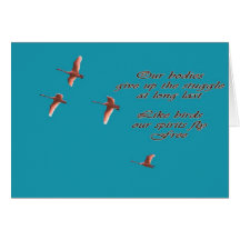 Sympathy-May You Find Comfort Trupeter Swans Card