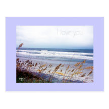 Sympathy Message Postcard