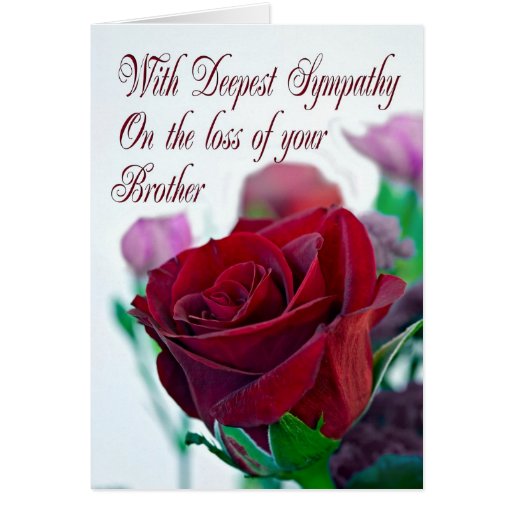 Sympathy On Loss Of Brother With A Red Rose Greeting Card Zazzle