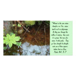 Sympathy photo cards