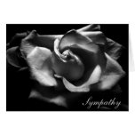 Sympathy Rose Black And White Greeting Card