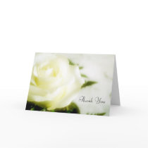 Sympathy Thank You
