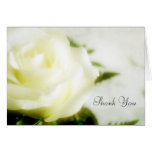 Sympathy Thank You Cards