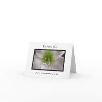 Sympathy Thank You Note Card - White Amaryllis
