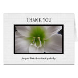 Sympathy Thank You Note Card - White Amaryllis