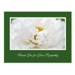 Sympathy Thank You Postcard
