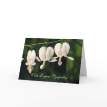 SYMPATHY WHITE FLOWERS CARDS