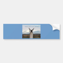 Sympathy: You Are Not Alone Llama Bumper Sticker