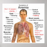 Symptoms Chart of the Blood Disease Anemia Poster