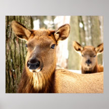 Synchronized Glaring Print
