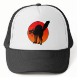 Syndicalist's cat hats