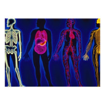 Systèmes médicaux et humains vintages faire-parts