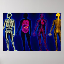 Systèmes médicaux et humains vintages poster
