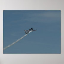T-6 "Texan" flown by Bill Leff. Print
