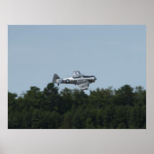 T-6G "Texan" flown by Bill Leff. Posters